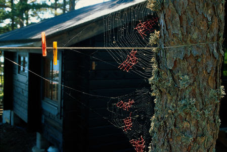 Nina Katchadourian, Mended Spiderweb #19, Laundry Line